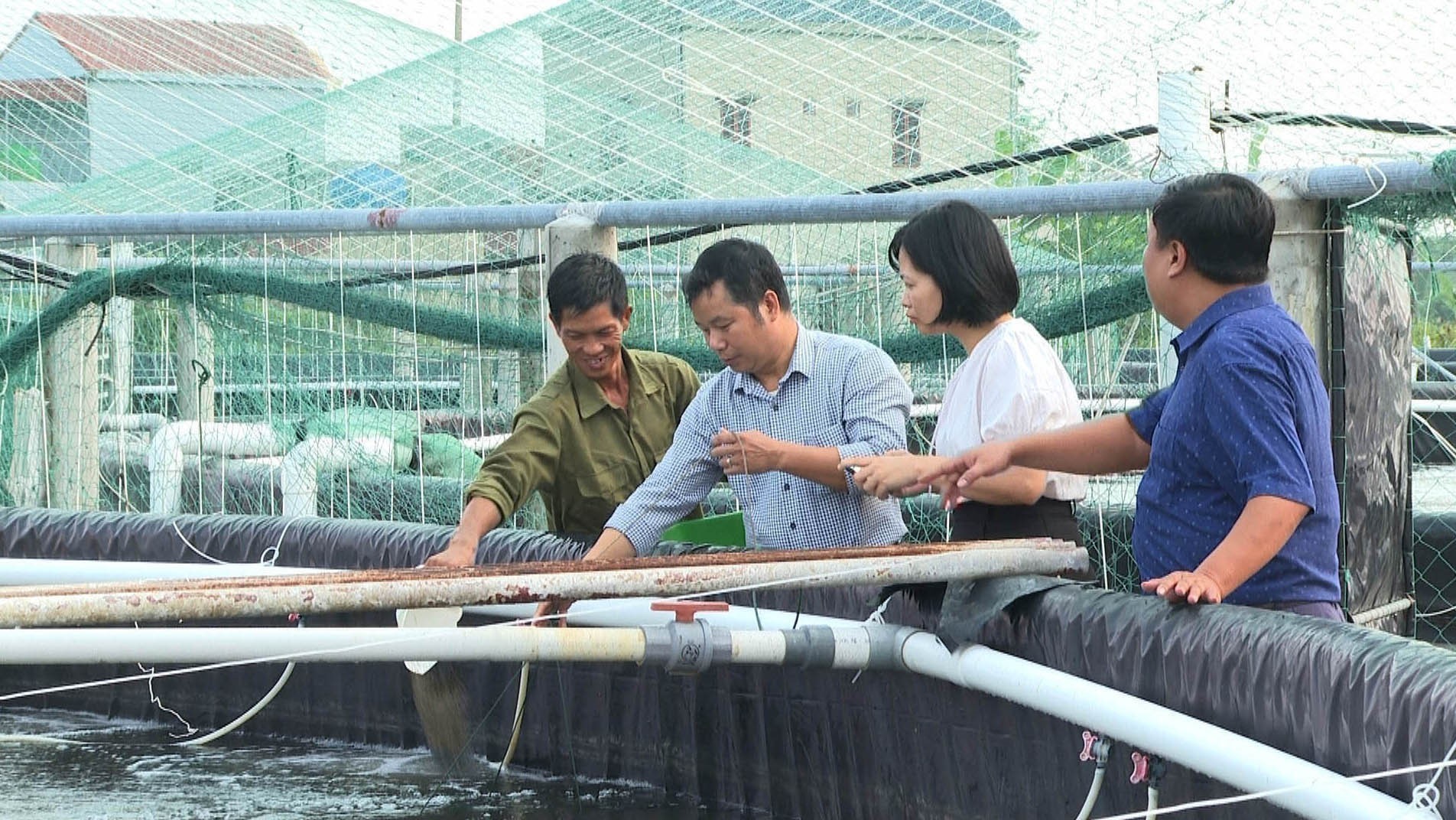 vna_potal_ninh_binh_ung_dung_cong_nghe_cao_phat_trien_nghe_nuoi_tom_7691254