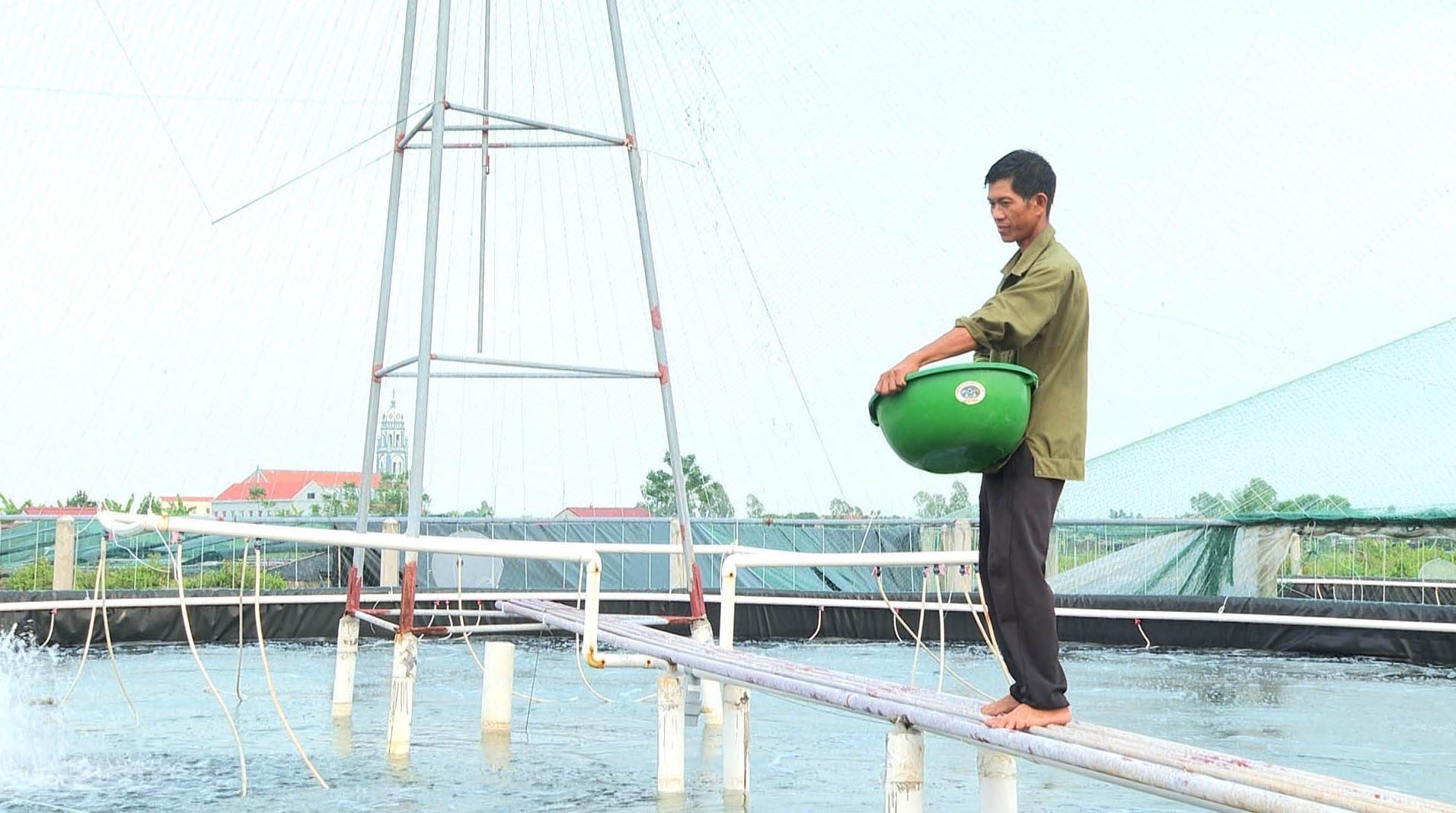 vna_potal_ninh_binh_ung_dung_cong_nghe_cao_phat_trien_nghe_nuoi_tom_7691260