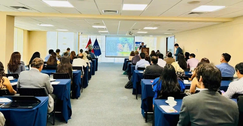Promovendo a cooperação econômica e comercial entre Vietnã e Peru, foto 1