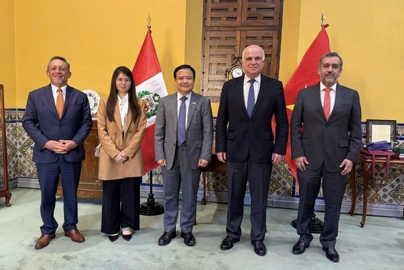 Promovendo a cooperação econômica e comercial entre Vietnã e Peru, foto 4