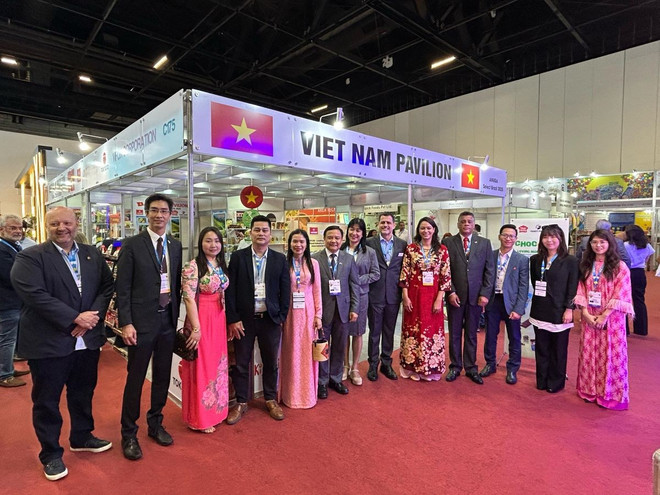 viet-nam-brasil4.jpg